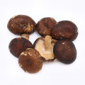 Healthy Hig Quality Vegetable Snack Shiitake Mushroom Crispy